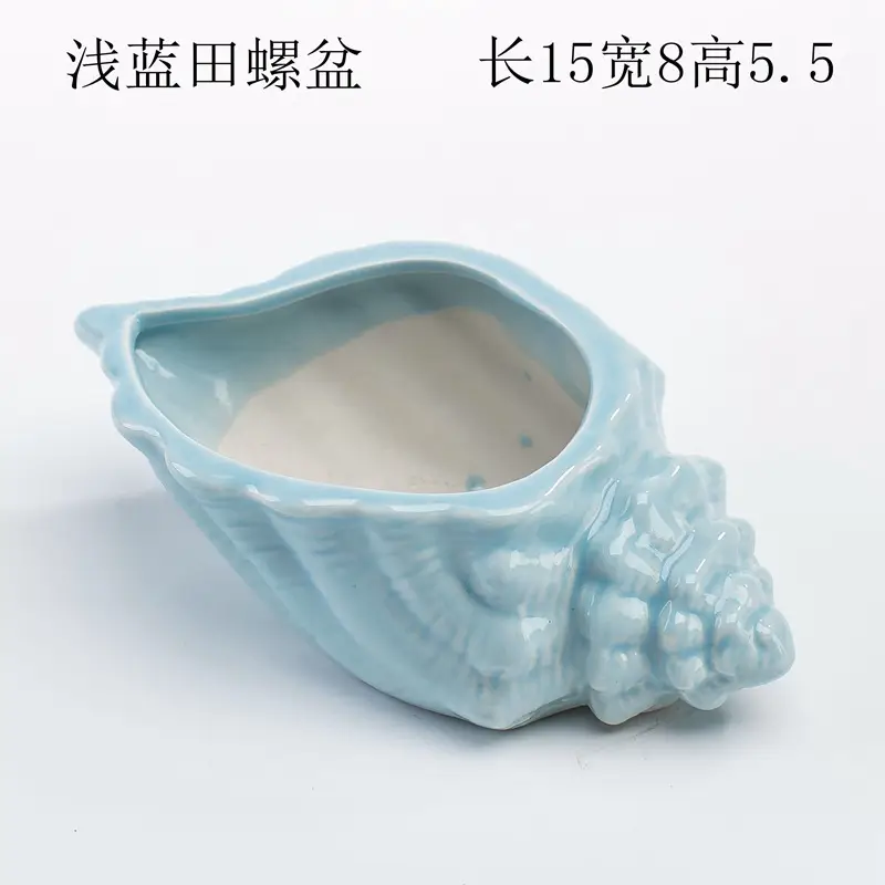 Ocean Fleshy Flower Pot Ornaments Cute Cartoon Whale Shell Meat Plant Small Flower Pot Cross-border Special for Wholesale