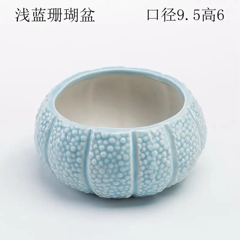 Ocean Fleshy Flower Pot Ornaments Cute Cartoon Whale Shell Meat Plant Small Flower Pot Cross-border Special for Wholesale