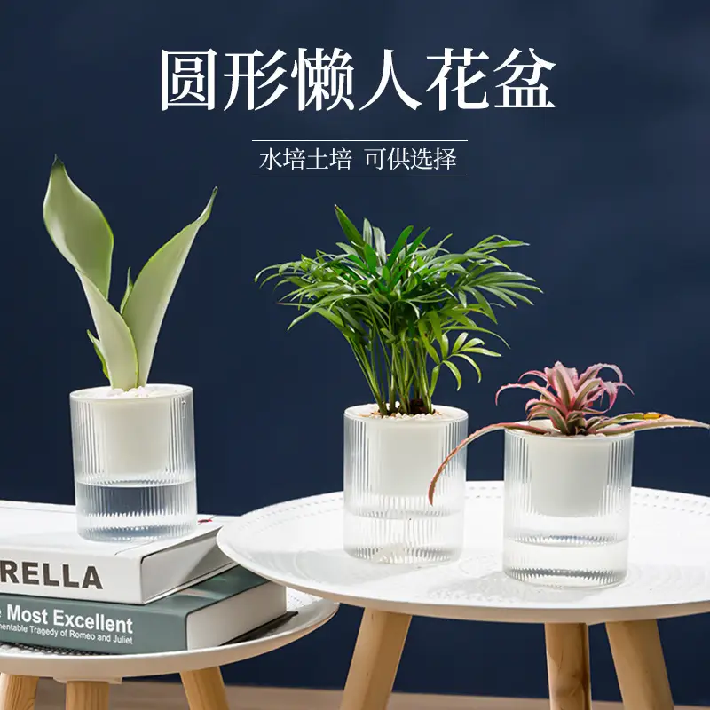 Lazy Green Pot Automatic Absorbent Flower Pot Transparent Plastic Hydroponic Hydroponics Special Flower Pot for Office and Hotel