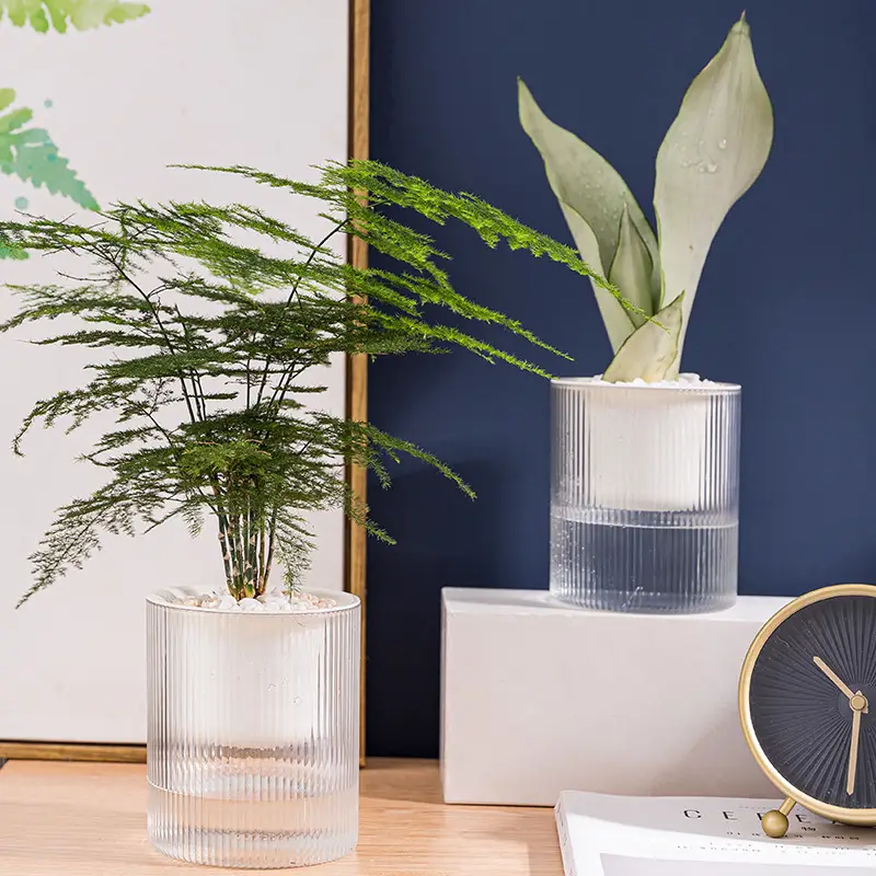 Lazy Green Pot Automatic Absorbent Flower Pot Transparent Plastic Hydroponic Hydroponics Special Flower Pot for Office and Hotel