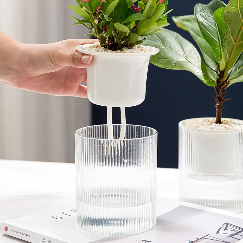 Lazy Green Pot Automatic Absorbent Flower Pot Transparent Plastic Hydroponic Hydroponics Special Flower Pot for Office and Hotel