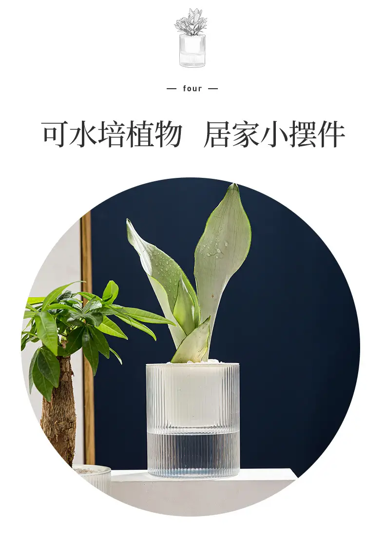 Lazy Green Pot Automatic Absorbent Flower Pot Transparent Plastic Hydroponic Hydroponics Special Flower Pot for Office and Hotel — feature 15