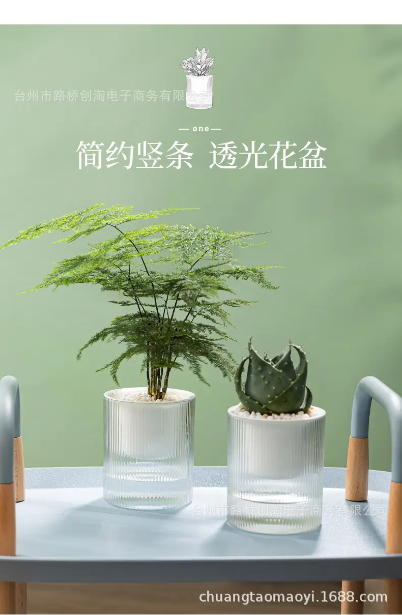 Lazy Green Pot Automatic Absorbent Flower Pot Transparent Plastic Hydroponic Hydroponics Special Flower Pot for Office and Hotel — feature 3