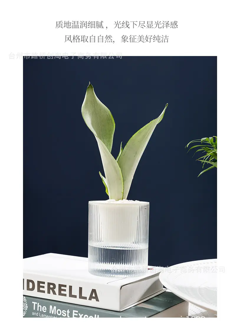 Lazy Green Pot Automatic Absorbent Flower Pot Transparent Plastic Hydroponic Hydroponics Special Flower Pot for Office and Hotel — feature 4