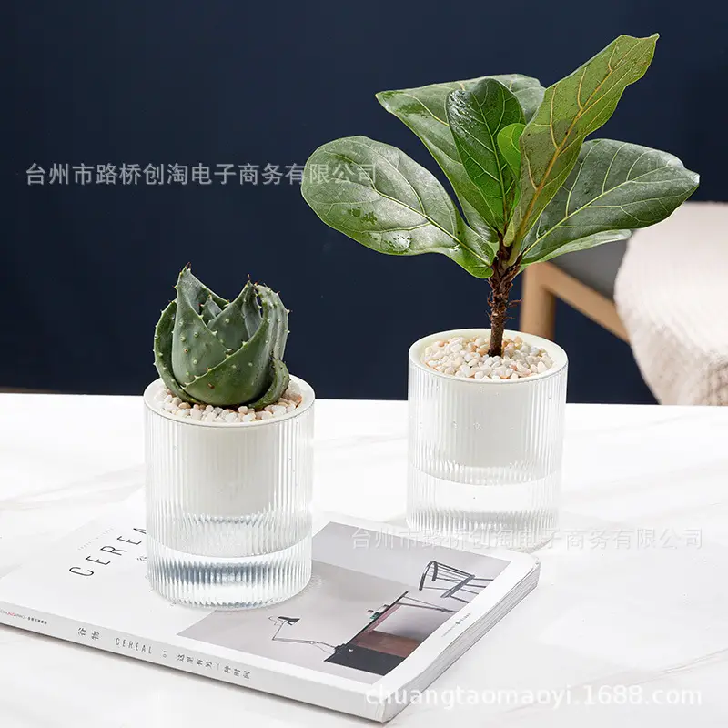 Lazy Green Pot Automatic Absorbent Flower Pot Transparent Plastic Hydroponic Hydroponics Special Flower Pot for Office and Hotel — feature 6