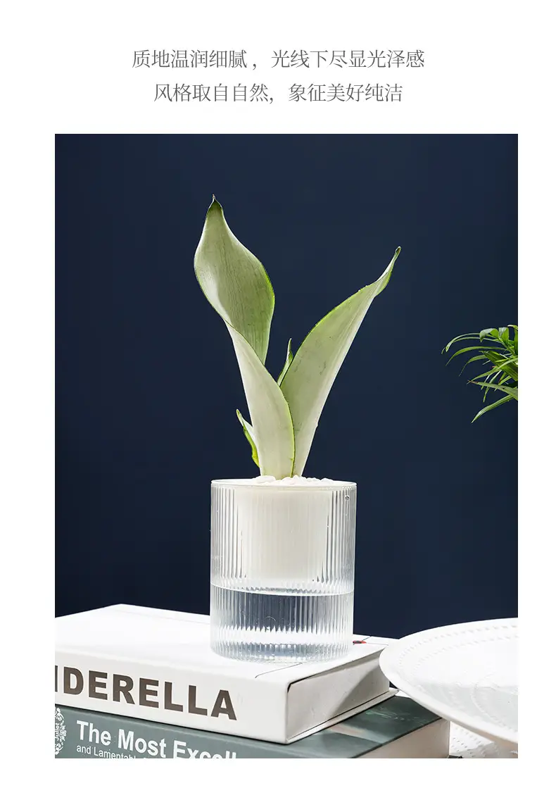 Lazy Green Pot Automatic Absorbent Flower Pot Transparent Plastic Hydroponic Hydroponics Special Flower Pot for Office and Hotel — feature 7