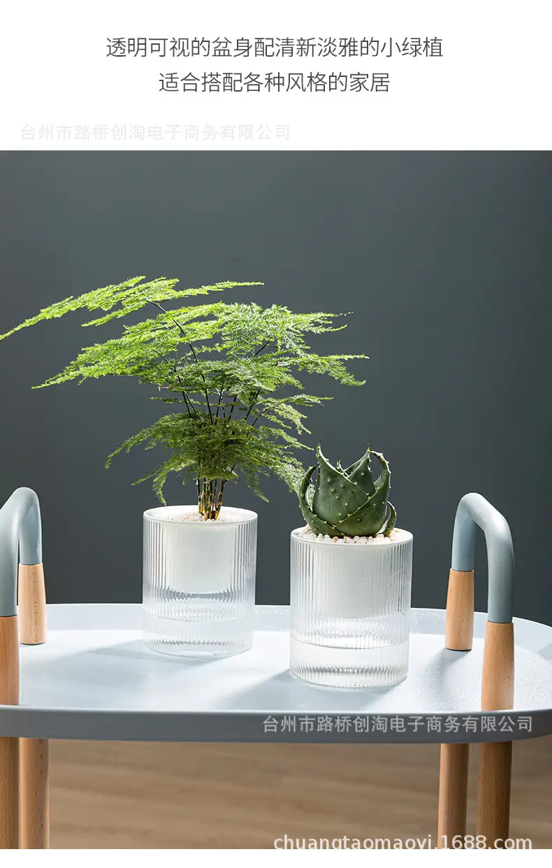Lazy Green Pot Automatic Absorbent Flower Pot Transparent Plastic Hydroponic Hydroponics Special Flower Pot for Office and Hotel — feature 8