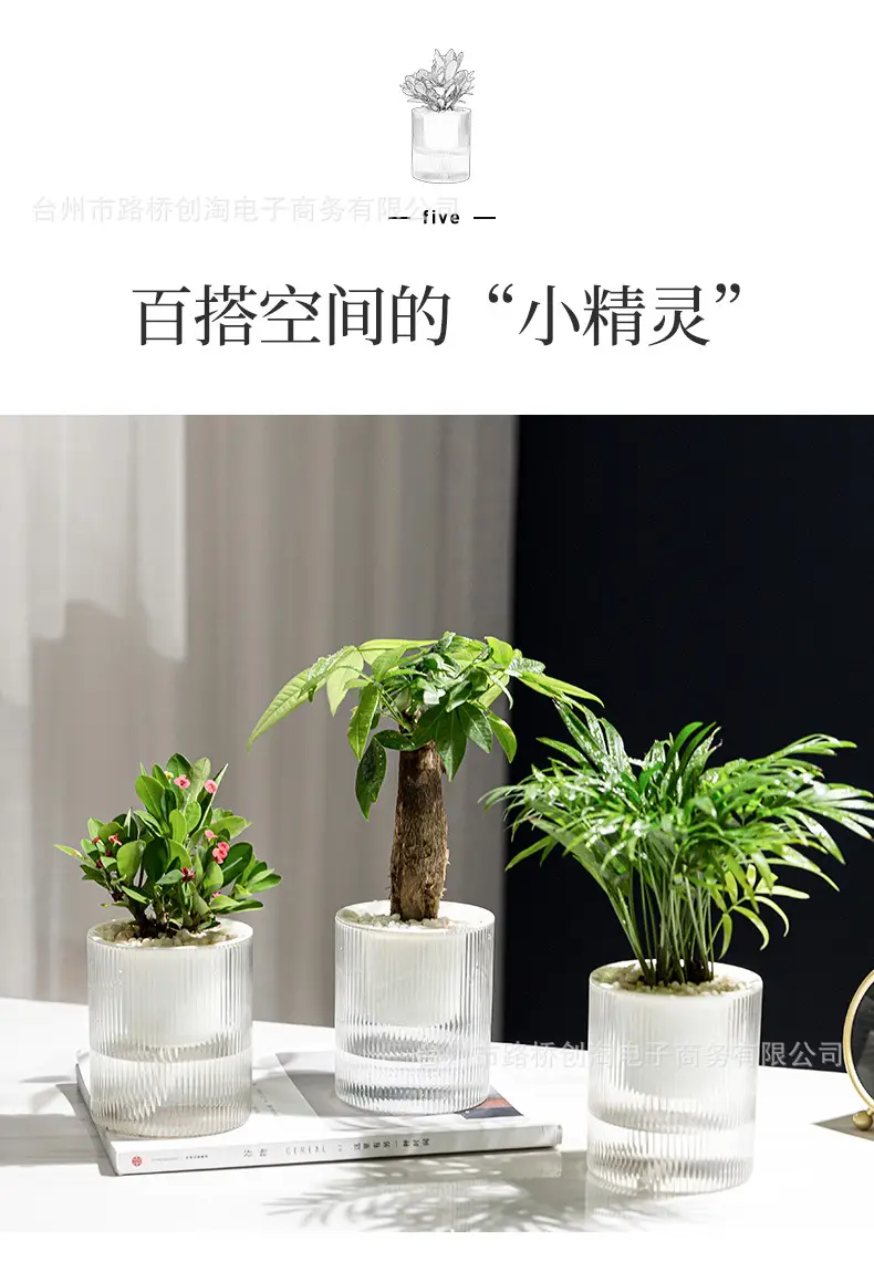 Lazy Green Pot Automatic Absorbent Flower Pot Transparent Plastic Hydroponic Hydroponics Special Flower Pot for Office and Hotel — feature 9