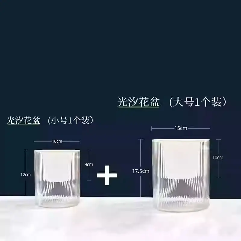 Lazy Green Pot Automatic Absorbent Flower Pot Transparent Plastic Hydroponic Hydroponics Special Flower Pot for Office and Hotel
