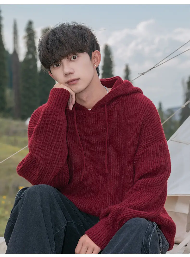 Maroon Hooded Sweatshirt 2024 Winter Casual Wear — feature 21