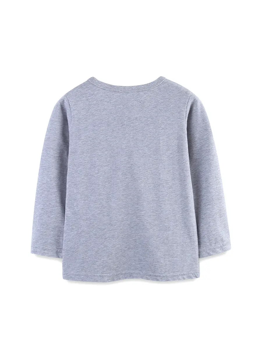 Boy's Long Sleeve Dinosaur Printed T-Shirt Grey Knitted Cotton - Image 3