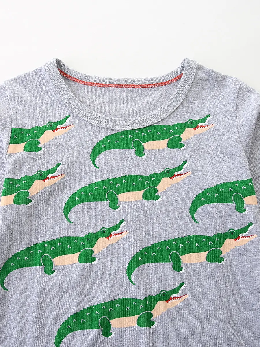 Boy's Long Sleeve Dinosaur Printed T-Shirt Grey Knitted Cotton - Image 5