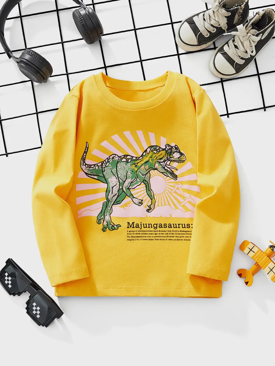 Little Bitty Autum Pure Cotton Printed Boys T-Shirt Long Sleeve Round Neck European American Kids T-Shirt - Image 6