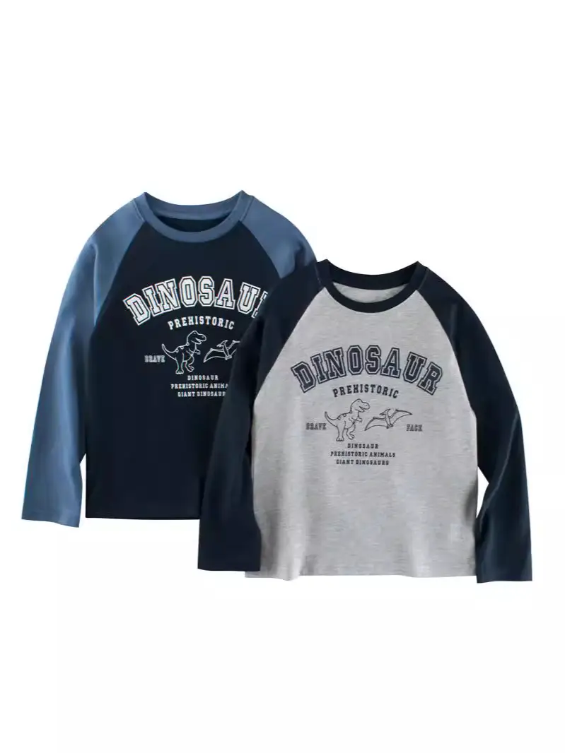 Big Dinosaur Kids Long Sleeve T-Shirt Grey Blue