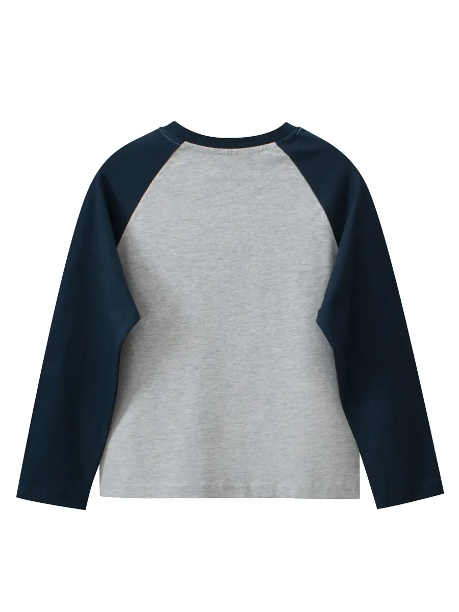 Big Dinosaur Kids Long Sleeve T-Shirt Grey Blue
