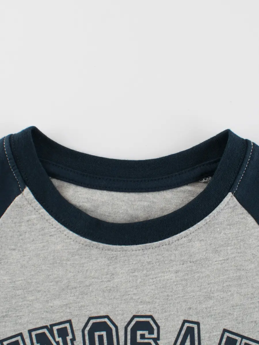 Big Dinosaur Kids Long Sleeve T-Shirt Grey Blue