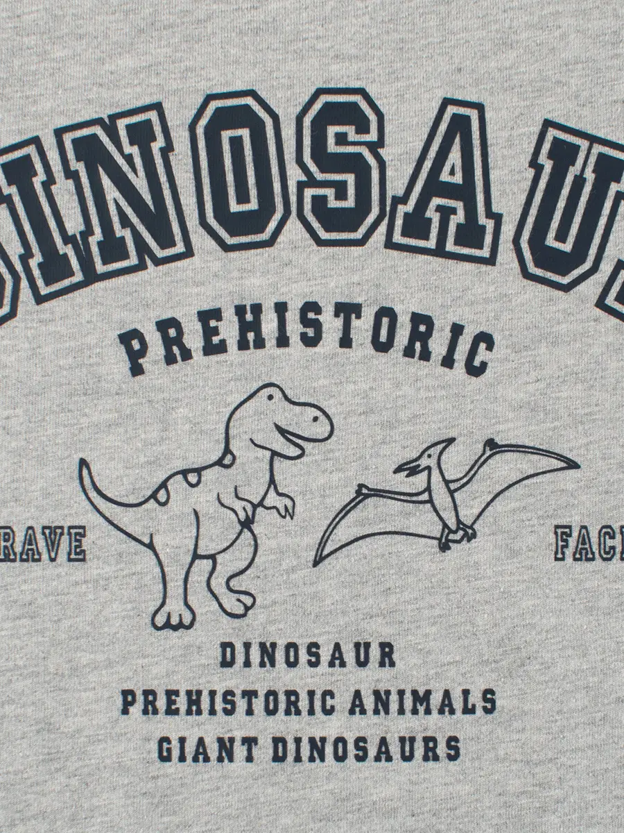 Big Dinosaur Kids Long Sleeve T-Shirt Grey Blue