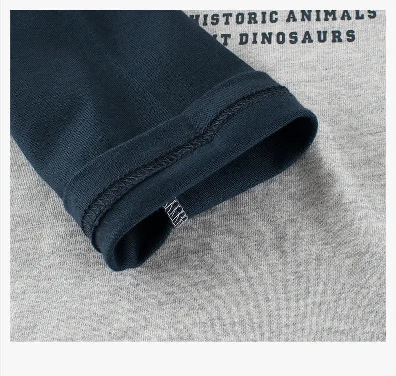 Big Dinosaur Kids Long Sleeve T-Shirt Grey Blue — feature 7