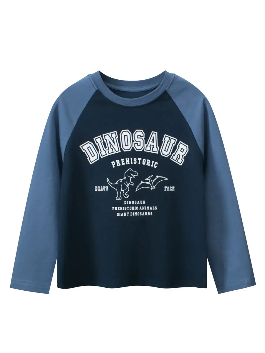 Big Dinosaur Kids Long Sleeve T-Shirt Grey Blue