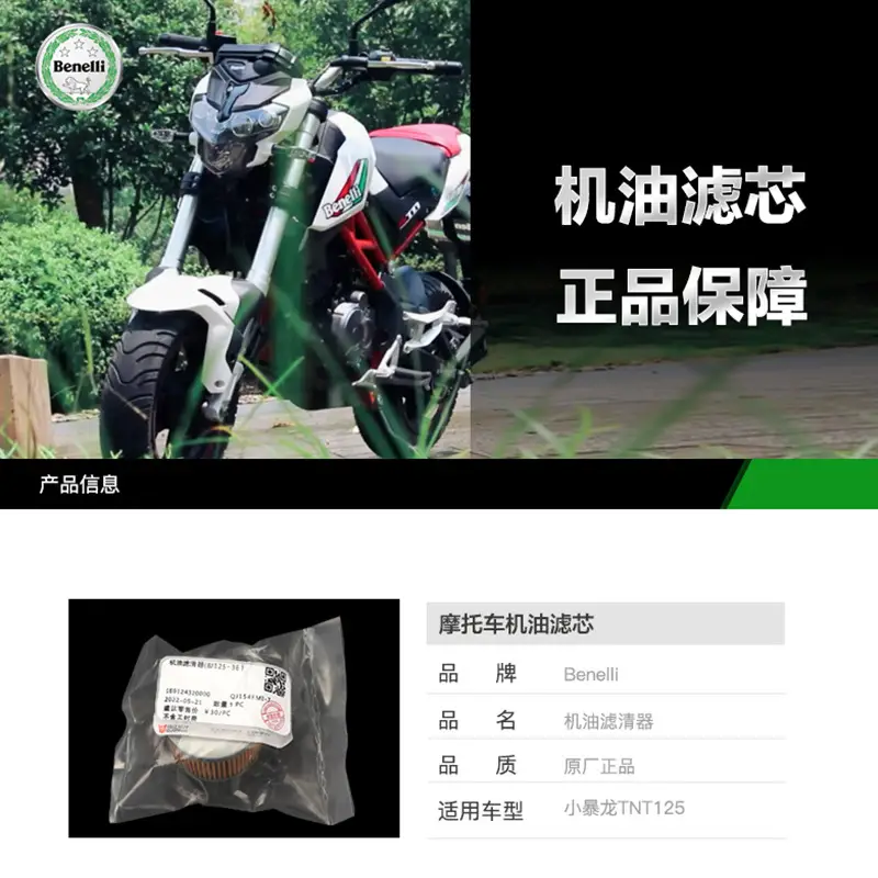 Benelli Oil Filter for 125cc Motorcycle - Image 2