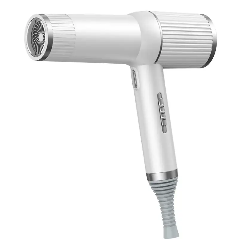 European & American Hair Dryer 110V High Power - Image 7