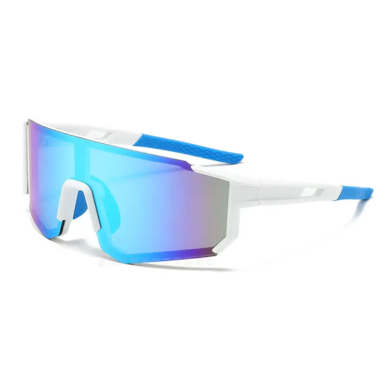 European Ski Glasses Large Frame One-Piece Lens