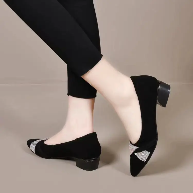 Elegant Slip-on Shoes Women's Autumn 2024 New Coarse Heel Soft Bottom Pointed Shallow Mouth Comfortable All-match Work Shoes for Women — feature 2