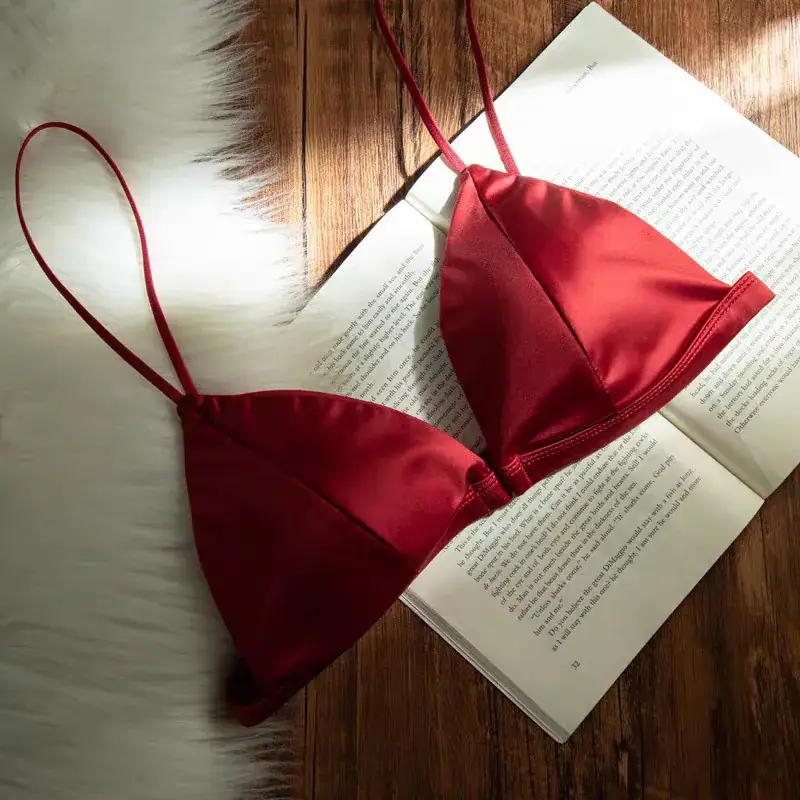 White French Triangle Cup Bra Satin New Style - Image 4