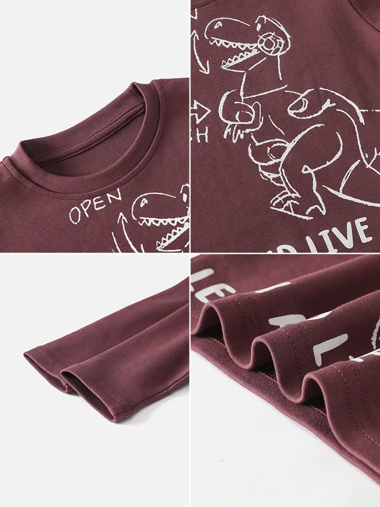 Kids Dinosaur Letter T-Shirt Brown Long Sleeve Cotton
