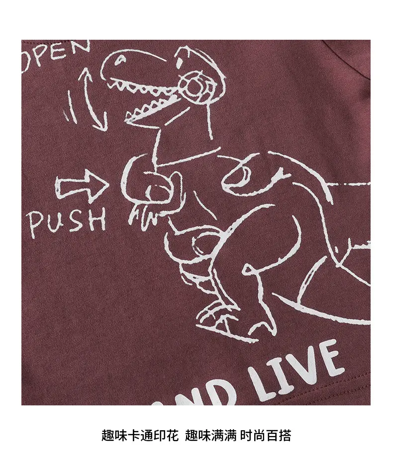 Kids Dinosaur Letter T-Shirt Brown Long Sleeve Cotton — feature 9