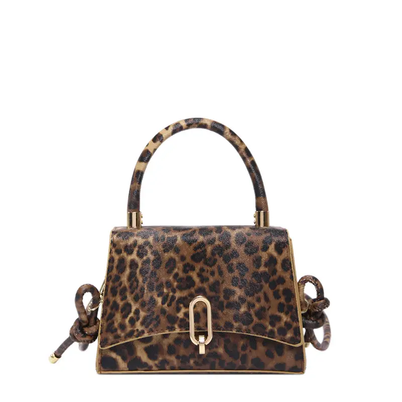 Leopard Print Women's Crossbody Bag 2024 - Image 8