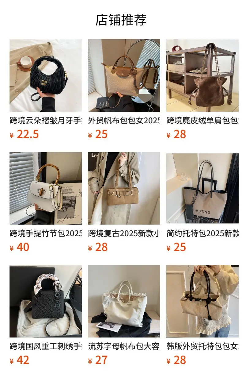 Brown Women's Large Shoulder Bag 2026 — feature 1
