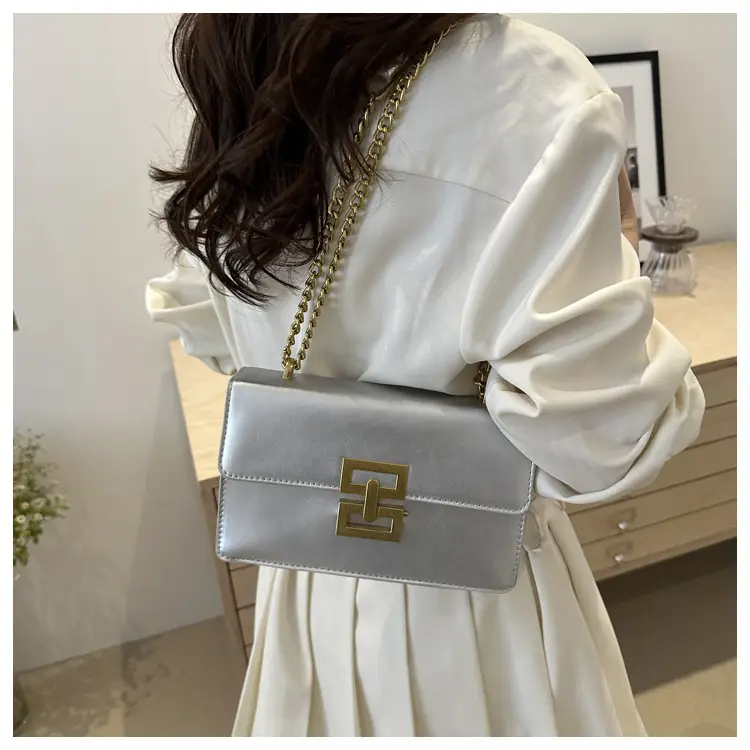 Small Chain Shoulder Bag for Women 2024 Summer — feature 13