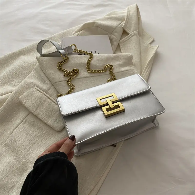 Small Chain Shoulder Bag for Women 2024 Summer - Image 2