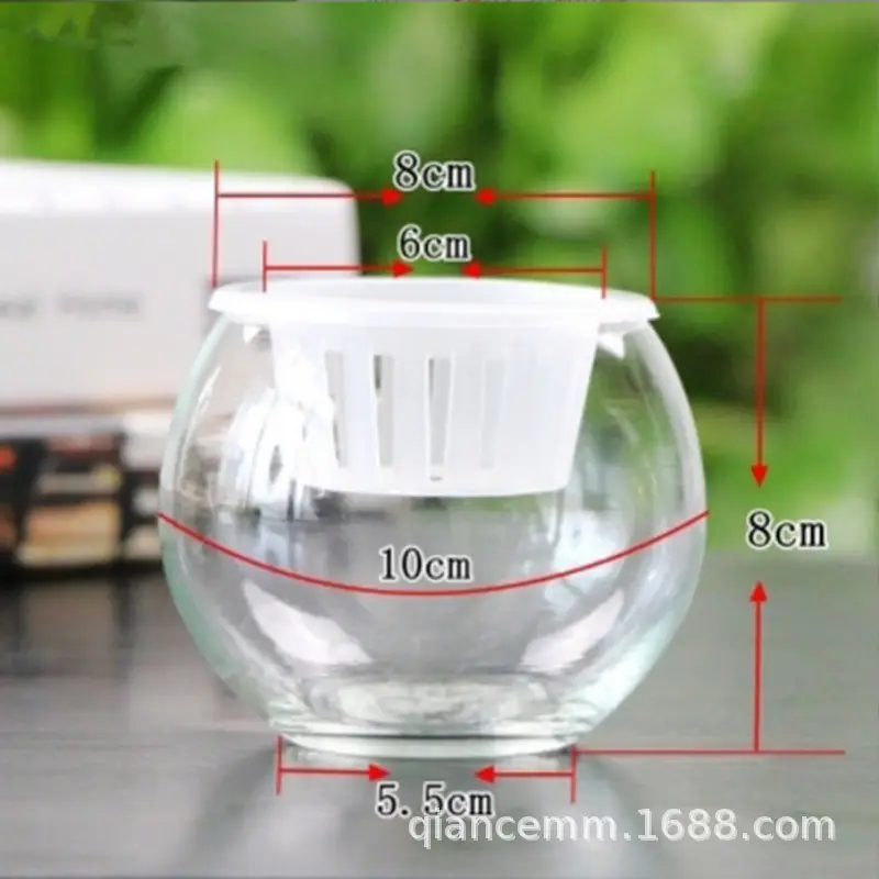 Micro landscape hydroponic plant transparent glass bottle green rose vase flowerpot transparent ball fish tank living room desktop creative