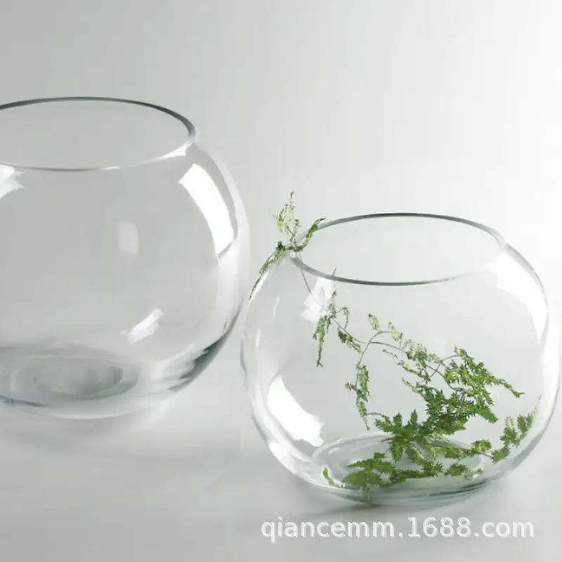 Micro landscape hydroponic plant transparent glass bottle green rose vase flowerpot transparent ball fish tank living room desktop creative