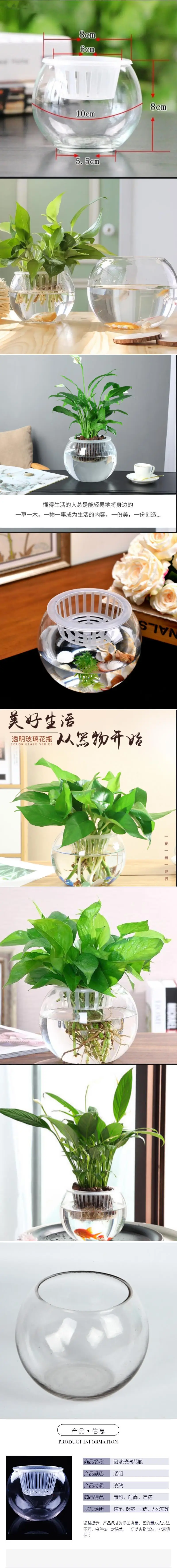 Micro landscape hydroponic plant transparent glass bottle green rose vase flowerpot transparent ball fish tank living room desktop creative — feature 1