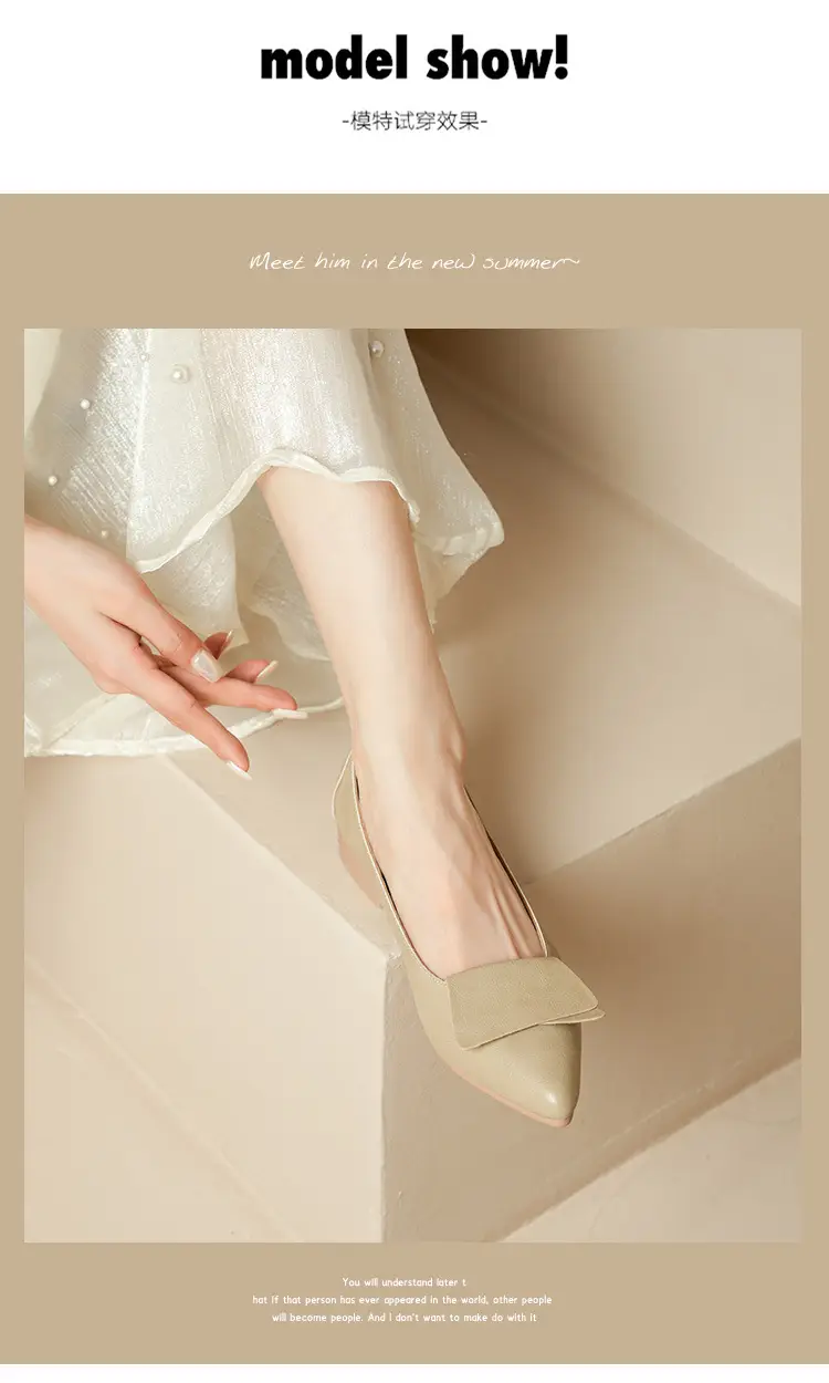 Summer Hot-Selling Single Shoes with Chunky Heels, 2025 New Fairy-Style Shallow Mid-Heel Shoes, Women's Shoes in Grandma Size, Versatile — feature 12