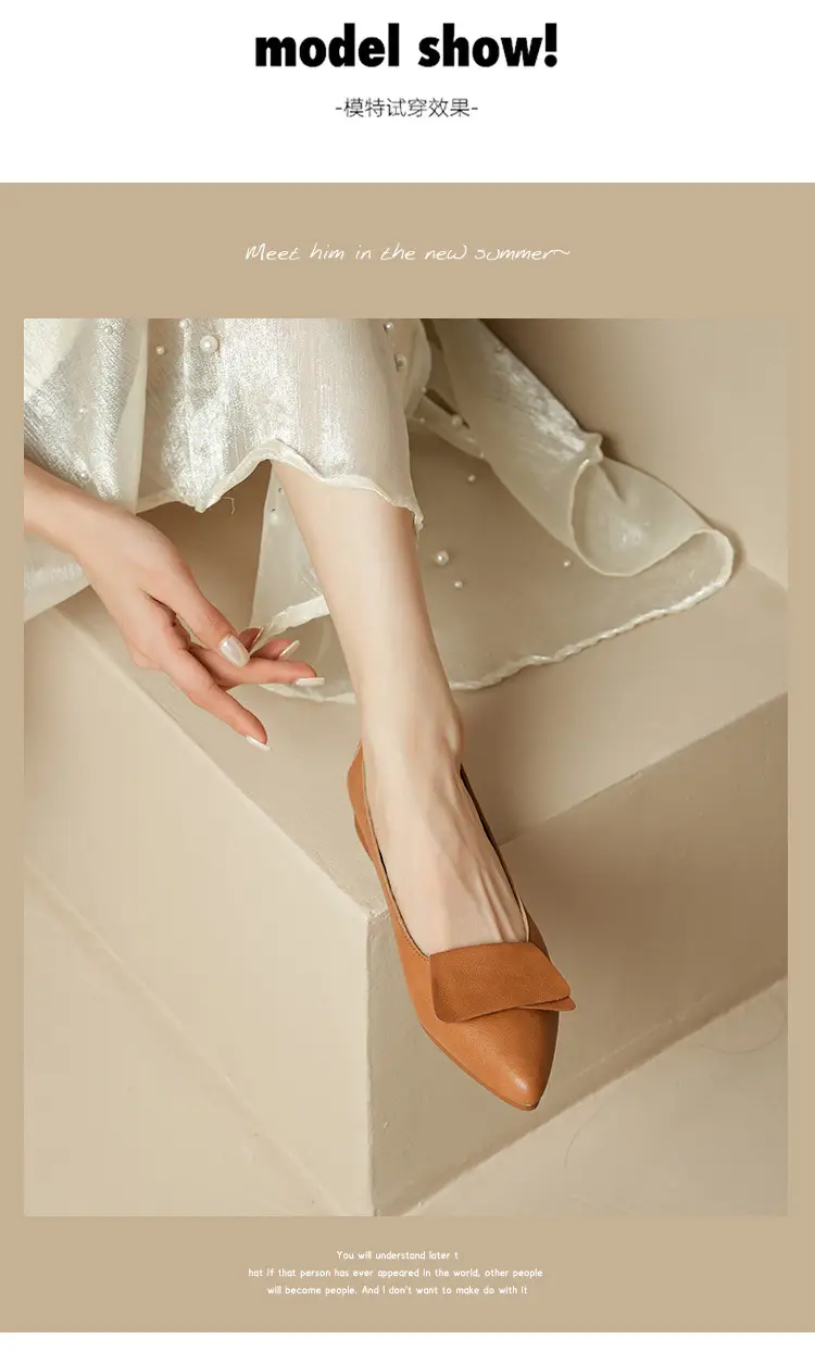 Summer Hot-Selling Single Shoes with Chunky Heels, 2025 New Fairy-Style Shallow Mid-Heel Shoes, Women's Shoes in Grandma Size, Versatile — feature 19