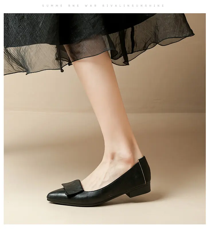 Summer Hot-Selling Single Shoes with Chunky Heels, 2025 New Fairy-Style Shallow Mid-Heel Shoes, Women's Shoes in Grandma Size, Versatile — feature 23