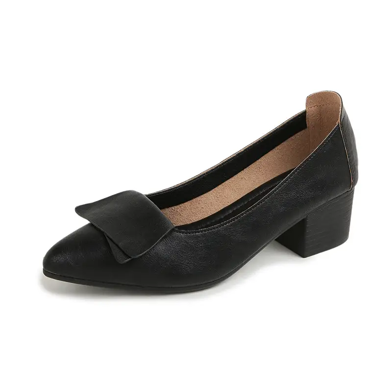 Summer Hot-Selling Single Shoes with Chunky Heels, 2025 New Fairy-Style Shallow Mid-Heel Shoes, Women's Shoes in Grandma Size, Versatile - Image 4