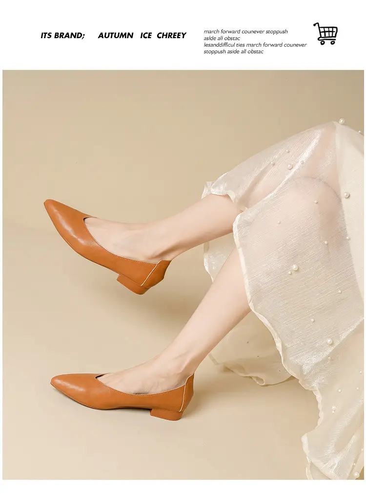 Popular Single Shoes with Chunky Heels, 2025 New Versatile Fairy-Style Loafers, Shallow Mid-Heel Shoes, Mother's Size Women's Shoes, Granny Shoes, Versatile — feature 28