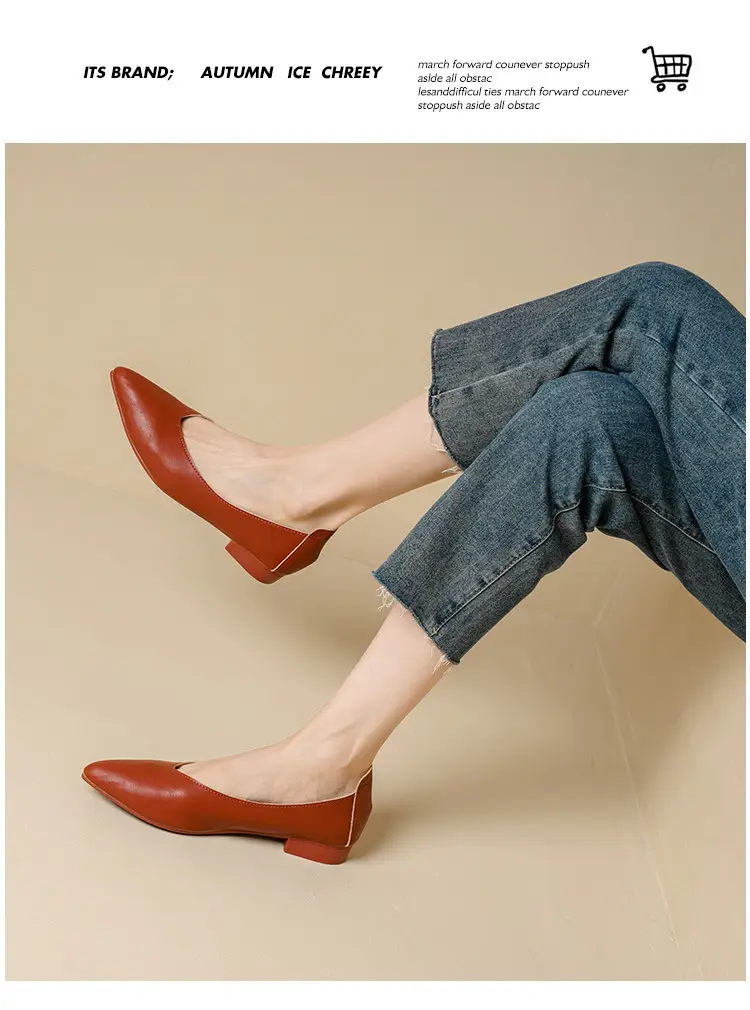 Popular Single Shoes with Chunky Heels, 2025 New Versatile Fairy-Style Loafers, Shallow Mid-Heel Shoes, Mother's Size Women's Shoes, Granny Shoes, Versatile — feature 44