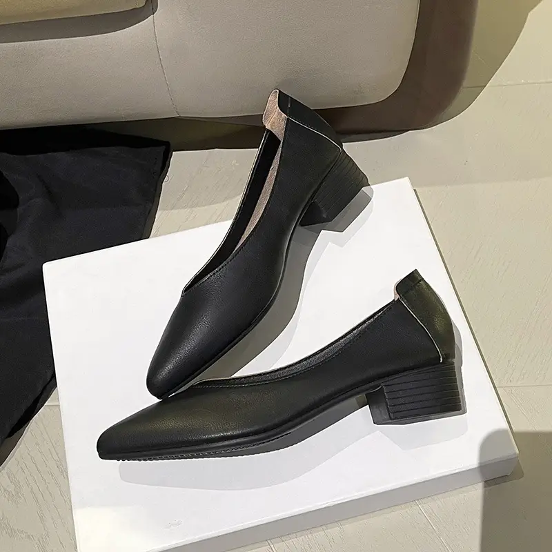 Popular Single Shoes with Chunky Heels, 2025 New Versatile Fairy-Style Loafers, Shallow Mid-Heel Shoes, Mother's Size Women's Shoes, Granny Shoes, Versatile - Image 6