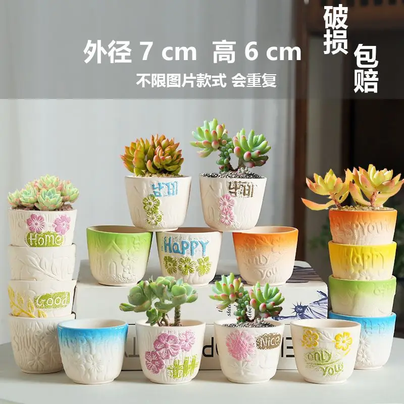 Wholesale Dropshipping Succulent Flower Pots Ceramic Clearance Sale Special Price Large Diameter Small Diameter Exquisite Small Breathable Ceramic