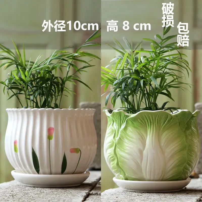 Wholesale Dropshipping Succulent Flower Pots Ceramic Clearance Sale Special Price Large Diameter Small Diameter Exquisite Small Breathable Ceramic