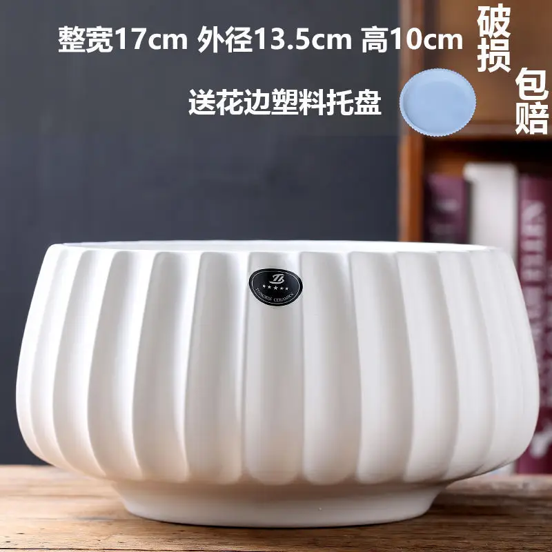 High Color Value Ceramic Flower Pot with Tray White Simple Nordic Ins Style Fleshy Flower Pot Internet Celebrity All-match Home Pot