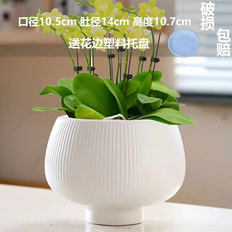 High Color Value Ceramic Flower Pot with Tray White Simple Nordic Ins Style Fleshy Flower Pot Internet Celebrity All-match Home Pot — feature 6