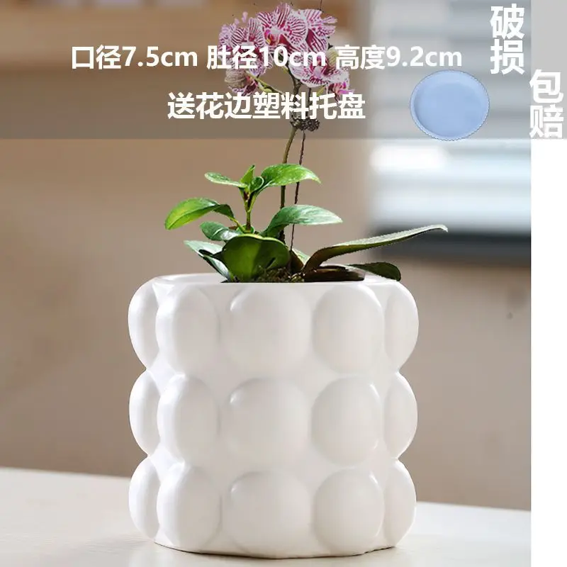 High Color Value Ceramic Flower Pot with Tray White Simple Nordic Ins Style Fleshy Flower Pot Internet Celebrity All-match Home Pot — feature 9