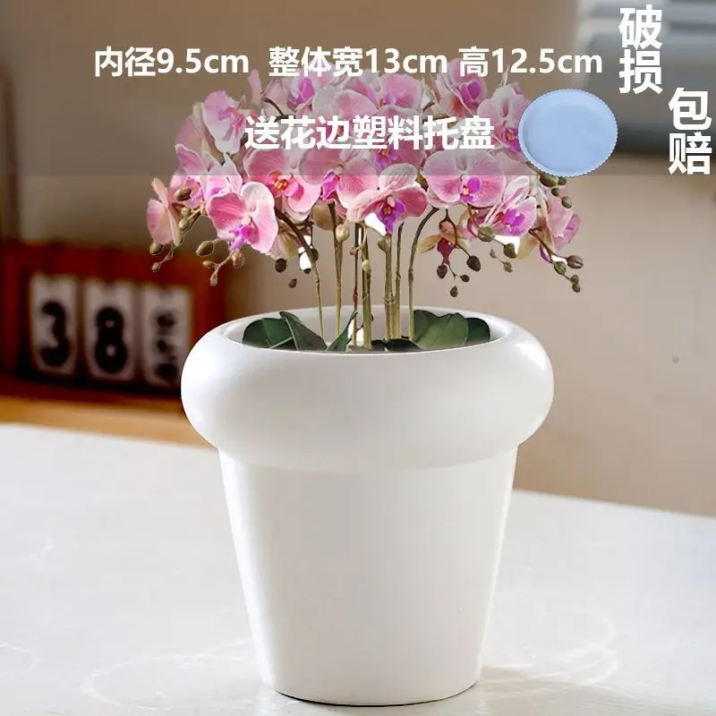 High Color Value Ceramic Flower Pot with Tray White Simple Nordic Ins Style Fleshy Flower Pot Internet Celebrity All-match Home Pot
